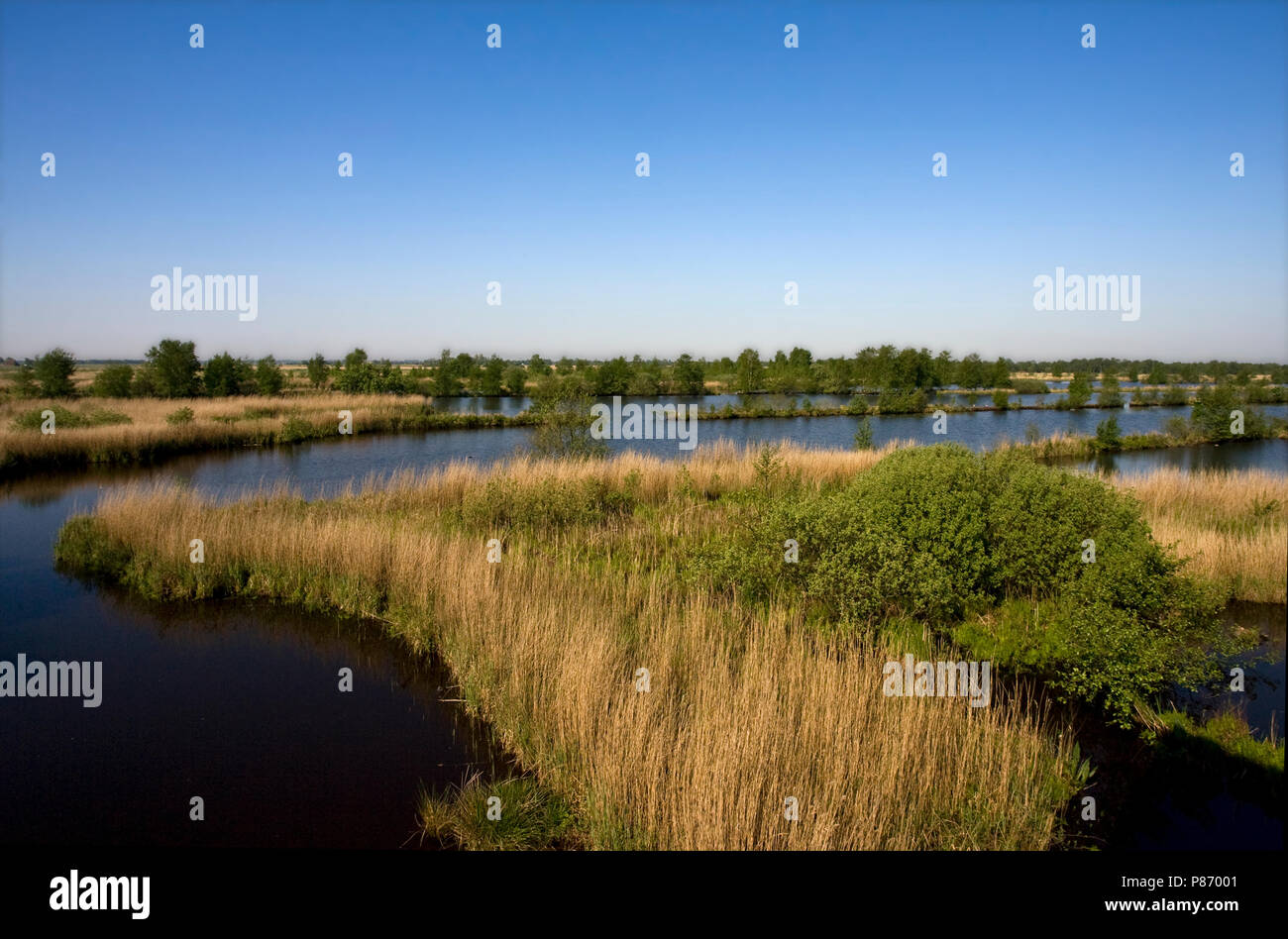 Natuurgebied Rottige Meente; Nature reserve Rottige Meente Stock Photo