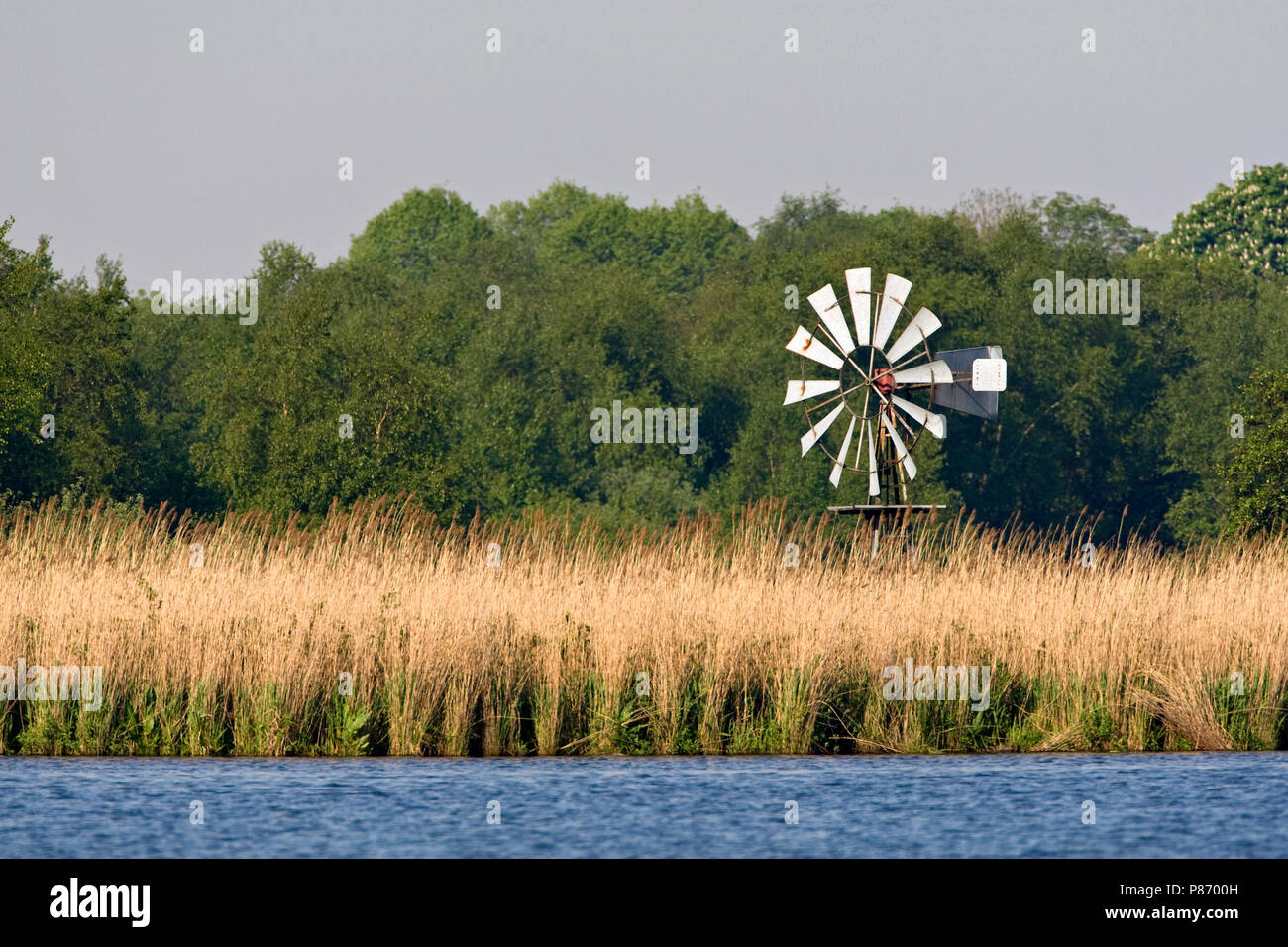 Natuurgebied Rottige Meente in Friesland Stock Photo