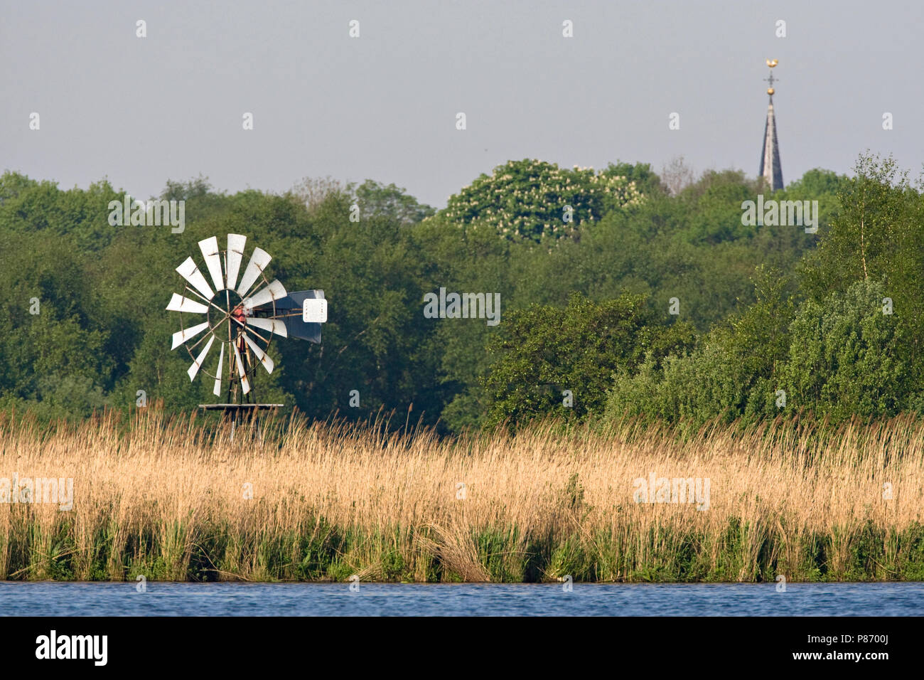 Natuurgebied Rottige Meente in Friesland Stock Photo