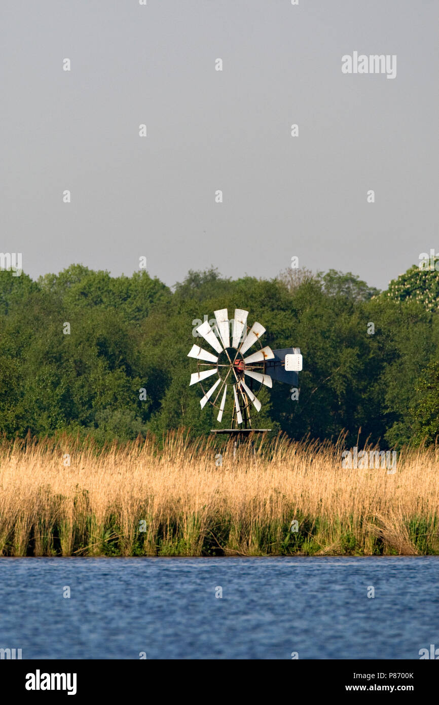 Natuurgebied Rottige Meente in Friesland Stock Photo