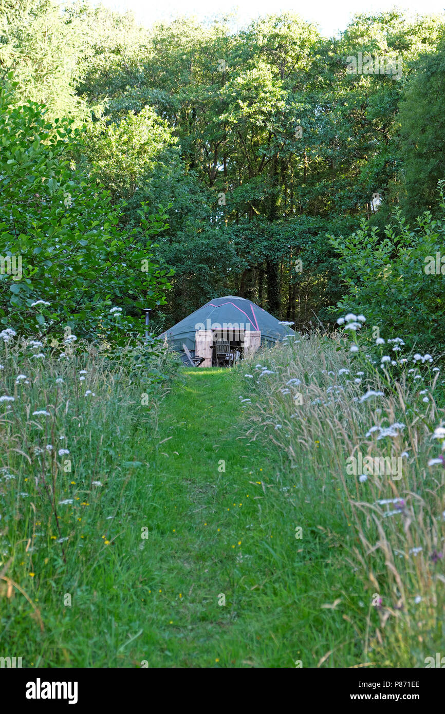 Exterior view of a yurt in a rural country wooded landscape in summer in Carmarthenshire West Wales UK  KATHY DEWITT Stock Photo