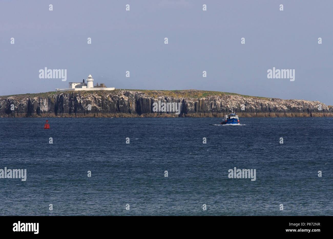 De Farne Islands liggen voor de Oostkust van Engeland. Stock Photo