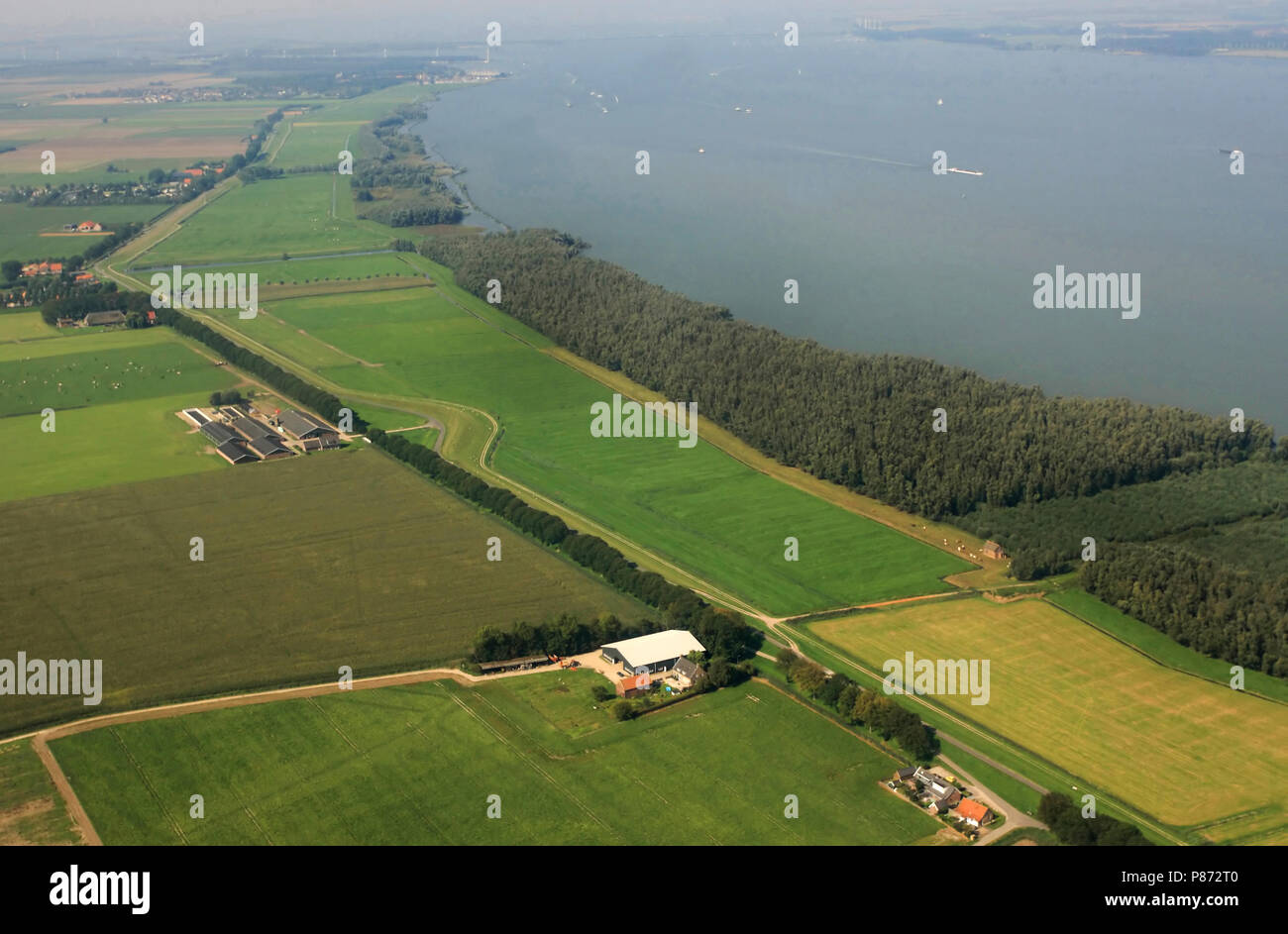 Het Hollandsch Diep met op de voorgrond de buitendijkse wilgenbossen in de omgeving van Klundert. Stock Photo
