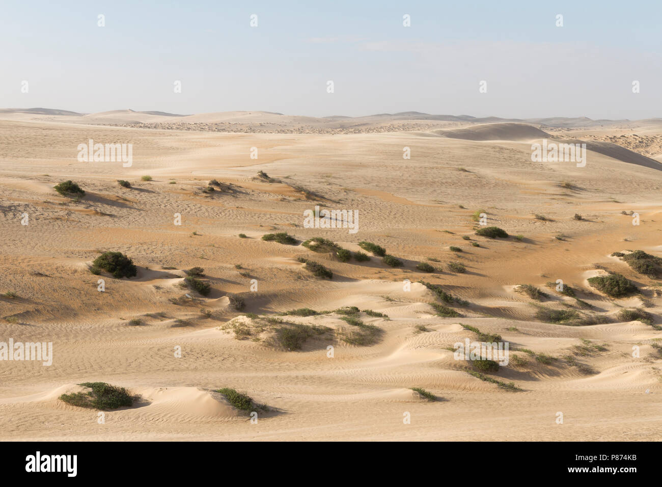 Landscape of central desert of Oman Stock Photo