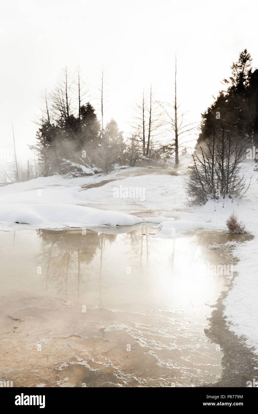 Thermische bron in Yellowstone; Hot Spring at Yellowstone Stock Photo ...