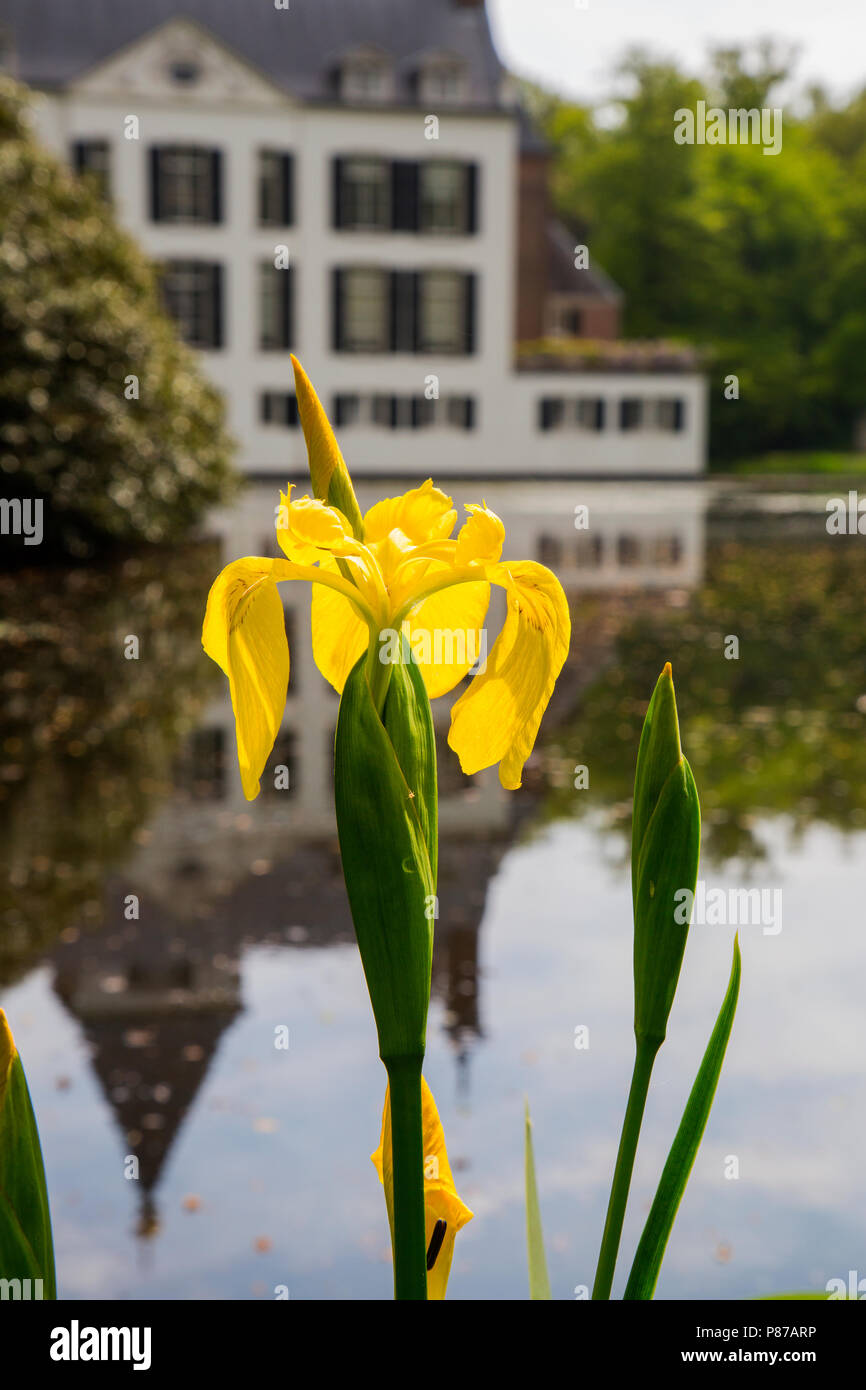 kasseel Renswoude, Castle Renswoude Stock Photo