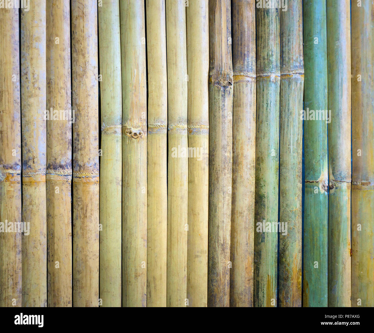 Cut a piece of green bamboo wood, bamboo wood commonly used types