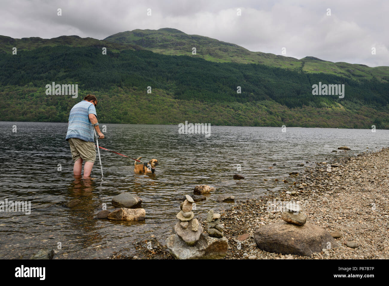 Convalescing man walking with crutch and dog on leash in Loch Lommond freshwater lake at Ben Lamond mountain Scotland UK Stock Photo