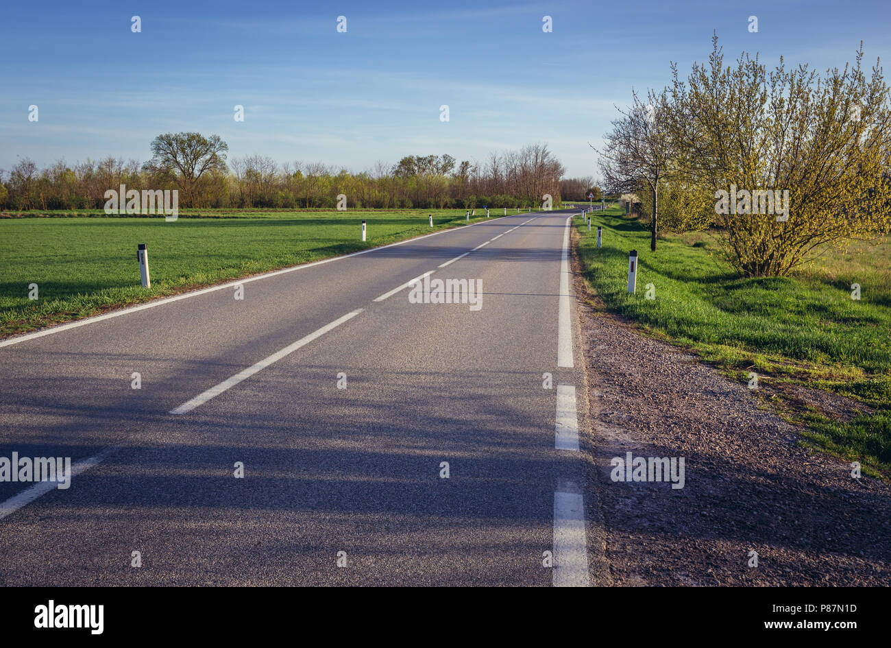 Road between Hohenau an der March and Rabensburg towns in Lower Austria Stock Photo