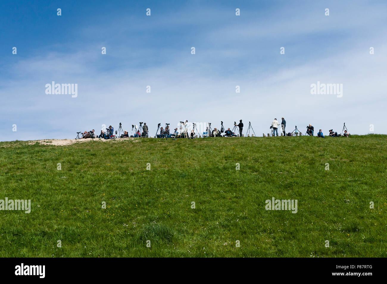 Group of birders at Drowned Land of Saeftinghe Stock Photo