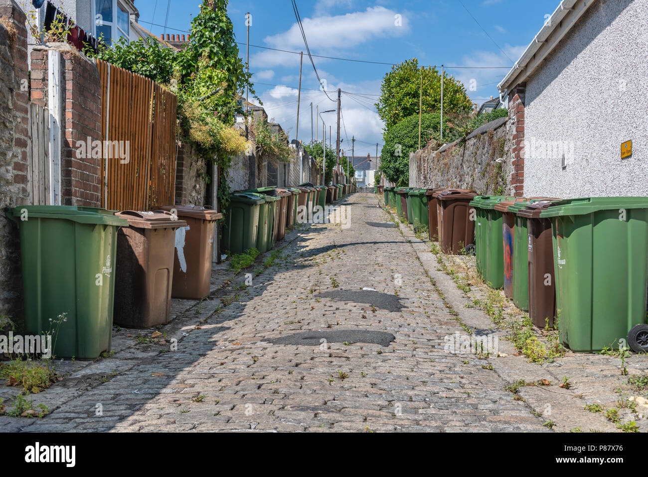 A row of Dustbins are lined up ready for collection in a rear backstreet in the city of Plymouth, Devon. Stock Photo