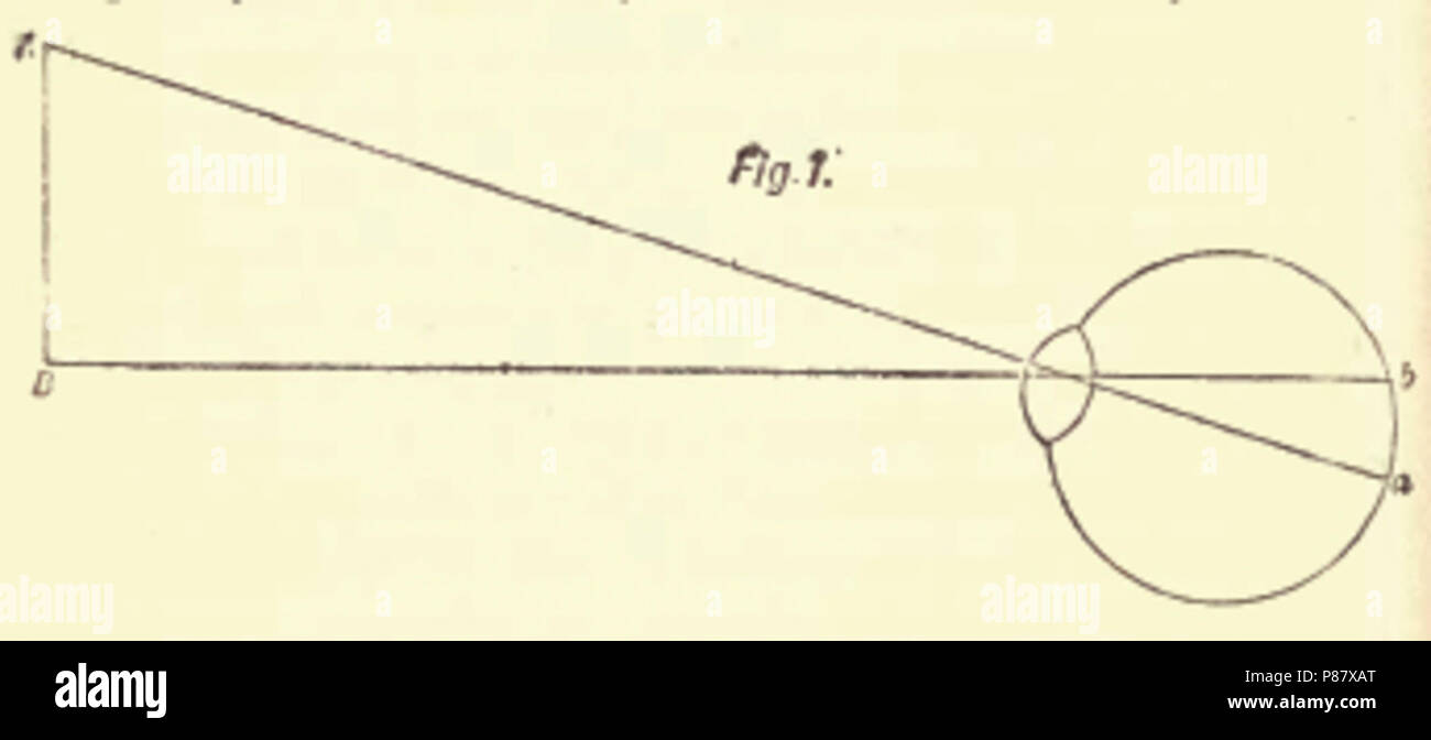 4Fold Root Figure 1. Stock Photo