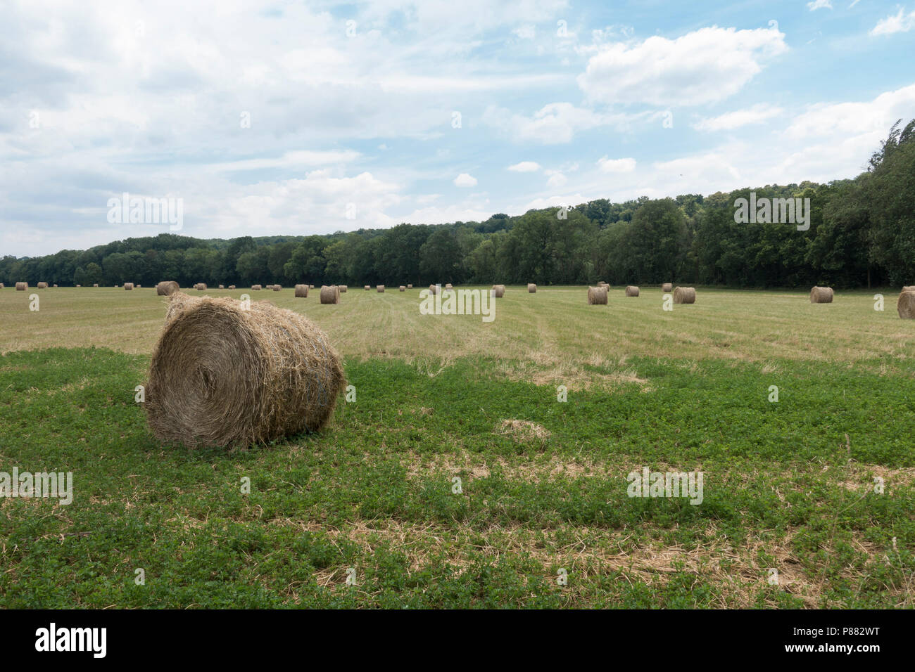 Roll of hays in the field hi-res stock photography and images - Alamy