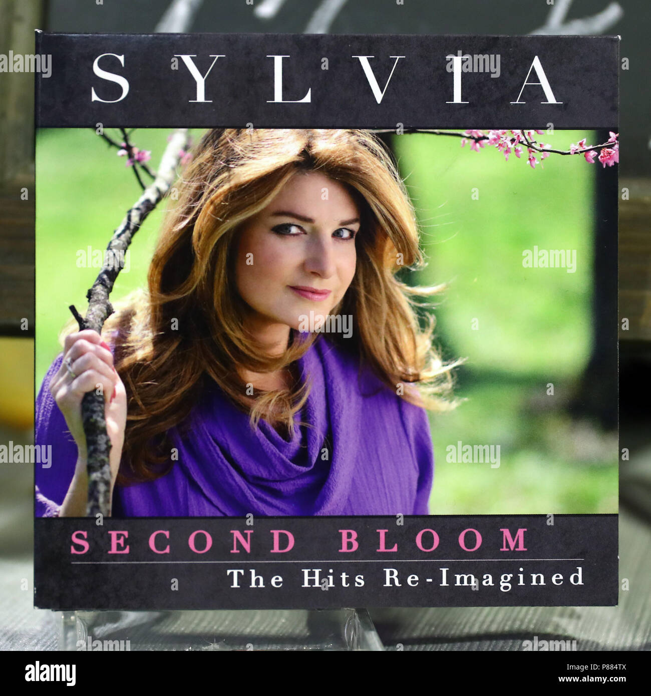 Fan fair x at music city center hires stock photography and images Alamy