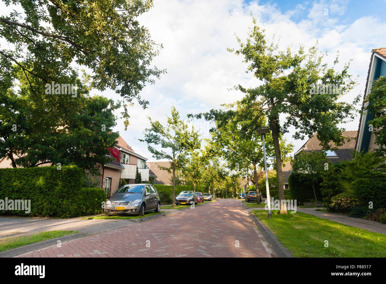 Straat in woonwijk met geparkeerde auto's; Street in residential area with parked cars Stock Photo