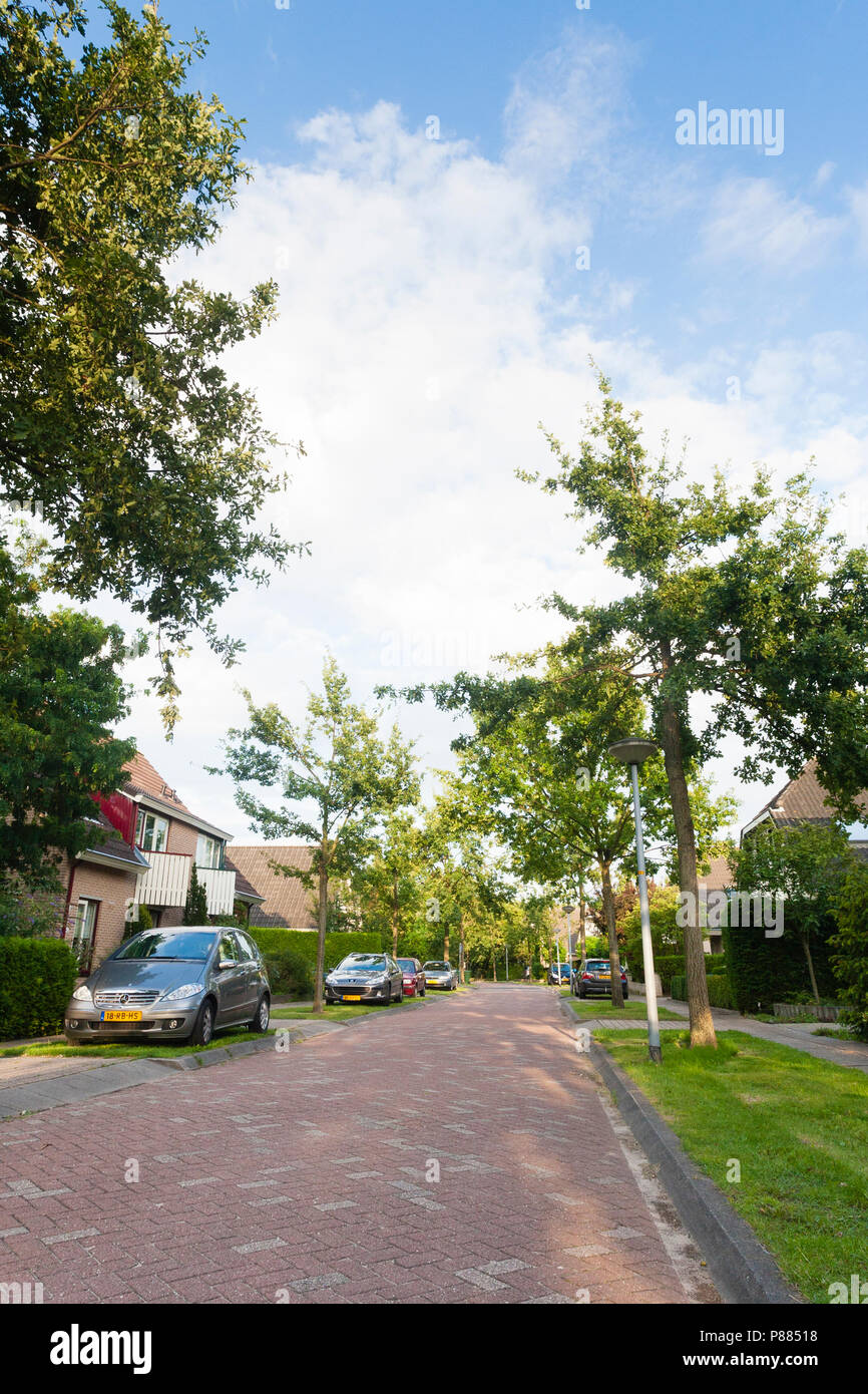 Straat in woonwijk met geparkeerde auto's; Street in residential area with parked cars Stock Photo