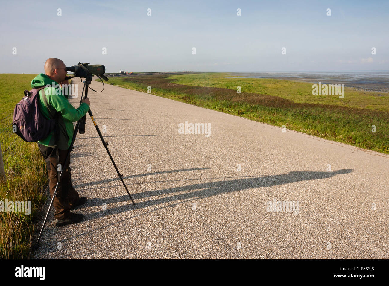 Vogelaar met telescoop staand op dijk; Birdwatcher with telescope standing at dike Stock Photo