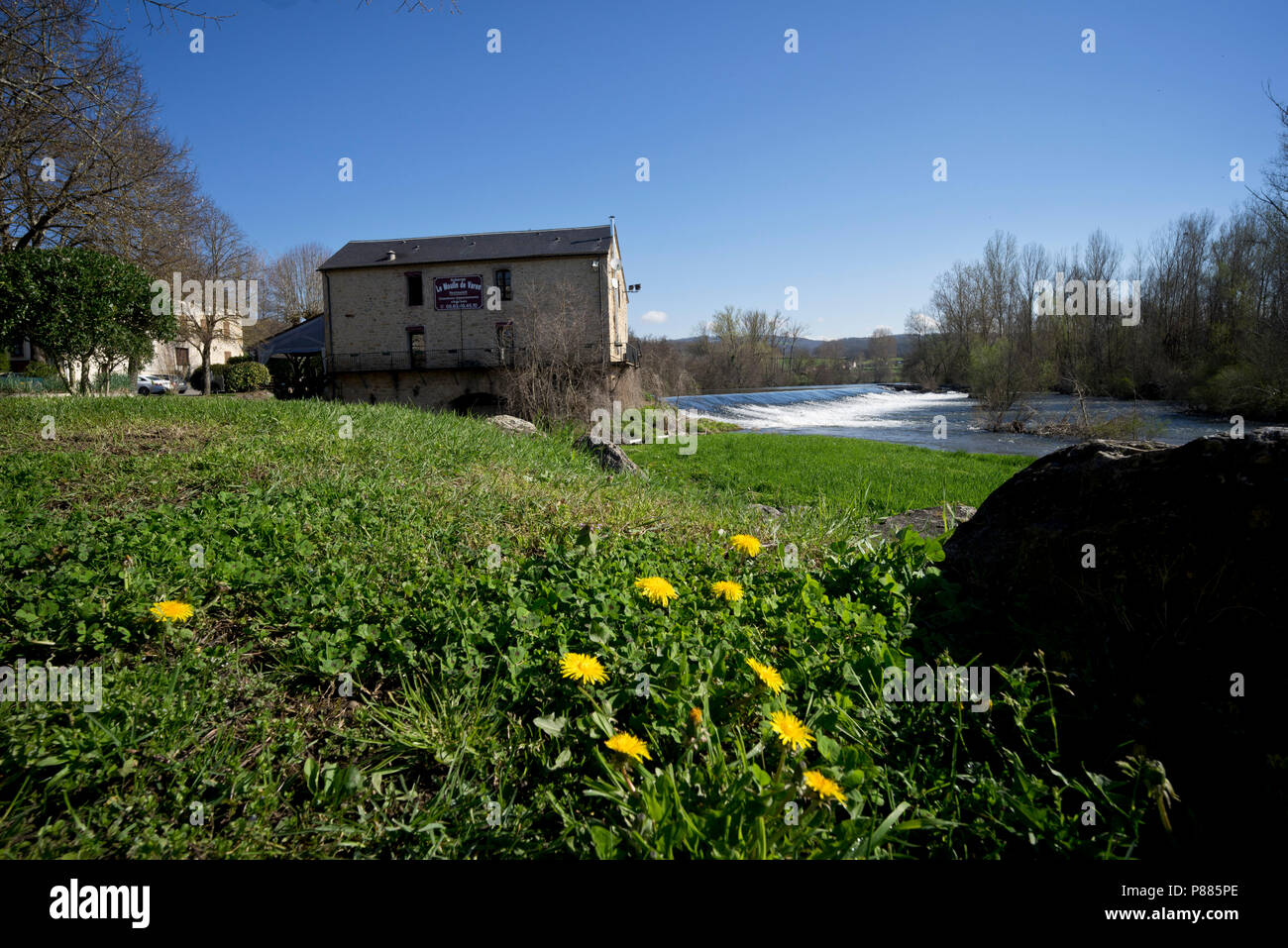 Dandelions, watermill and weir on the Aveyron river in springtime sunshine in Varen, Tarn et Garonne, Occitanie, France Stock Photo