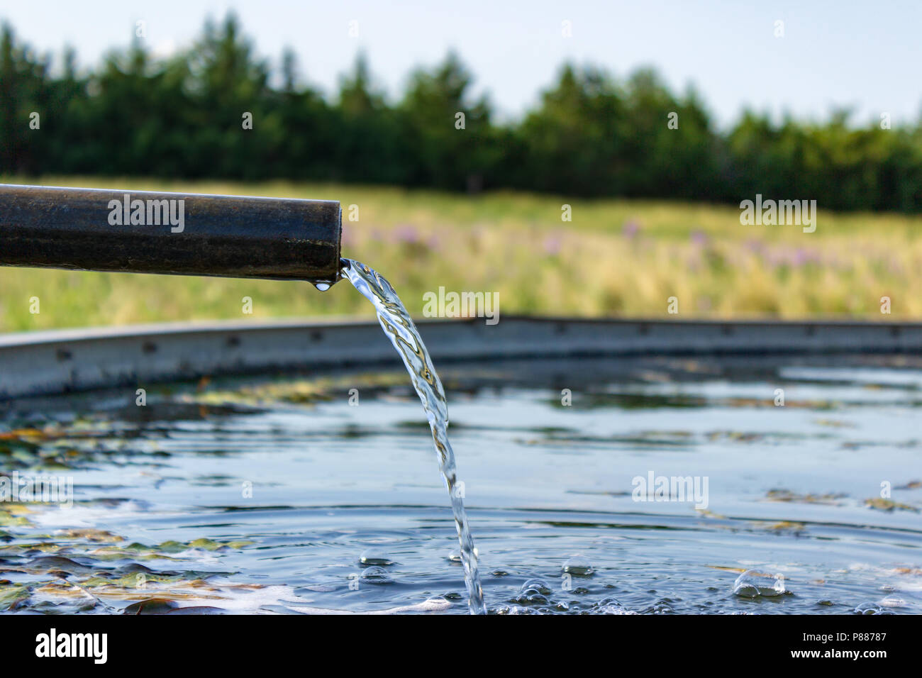 Pure cold water from the Ogallala Aquifer is pumped into a stock tank in the Sandhills of Nebraska.  The Sandhills are unique to Nebraska. Stock Photo