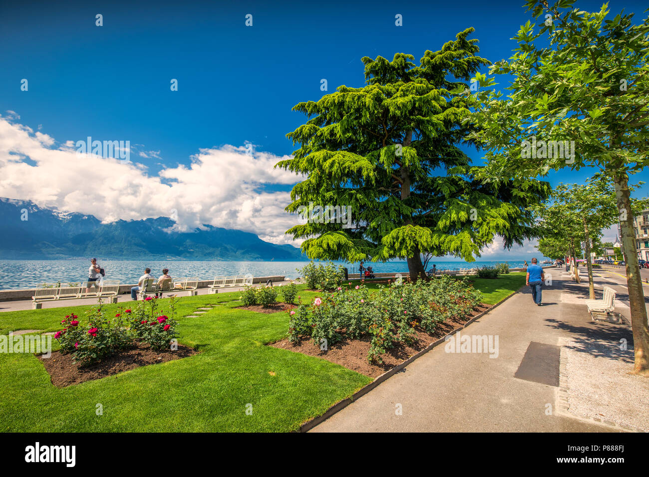 VEVEY, SWITZERLAND - May 31, 2018 - Park in Vevey town near Montreux with Swiss Alps in background, Switzerland, Europe. Stock Photo