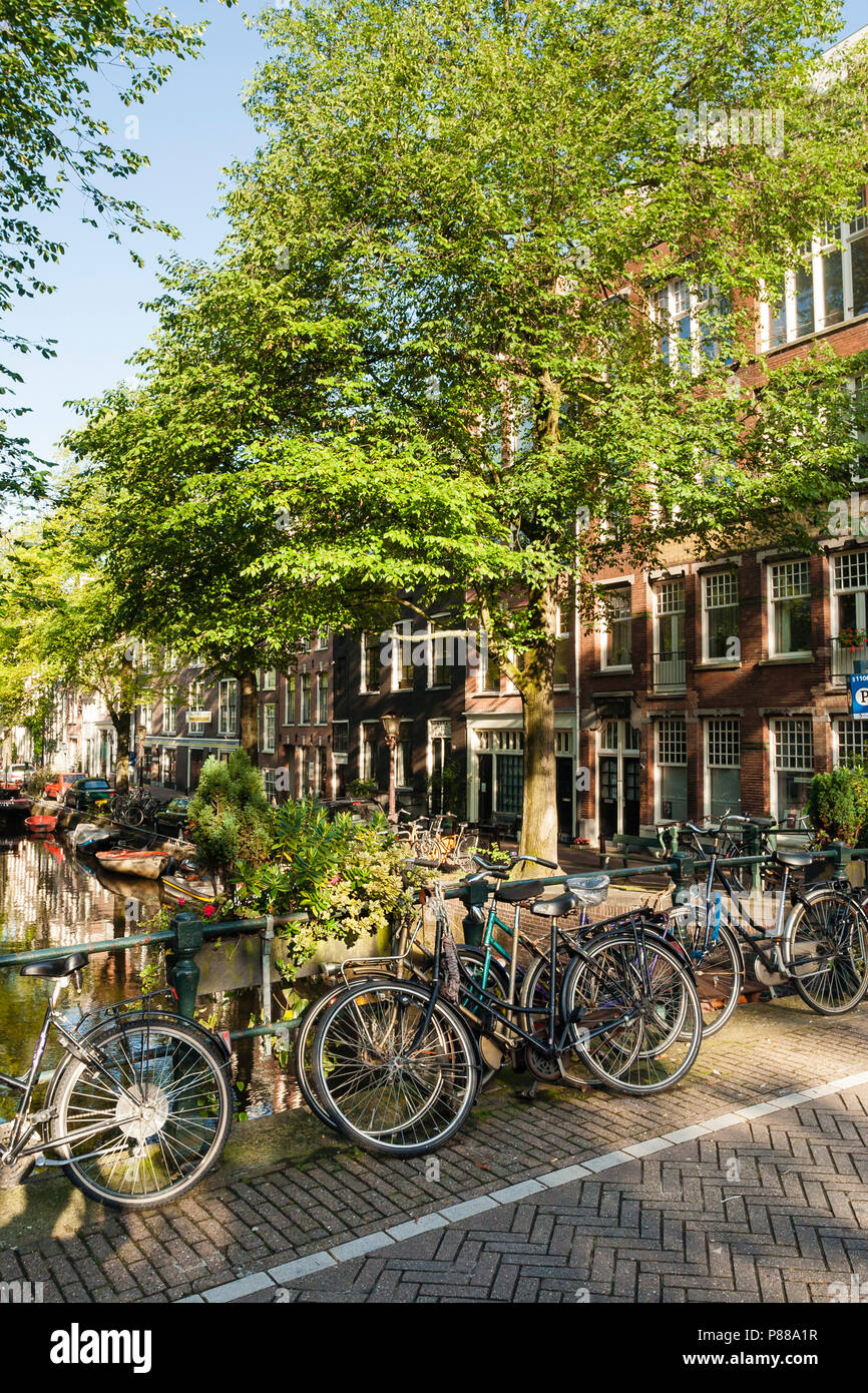 plannen Grappig Arashigaoka Amsterdam in de zomer; Amsterdam in summer Stock Photo - Alamy