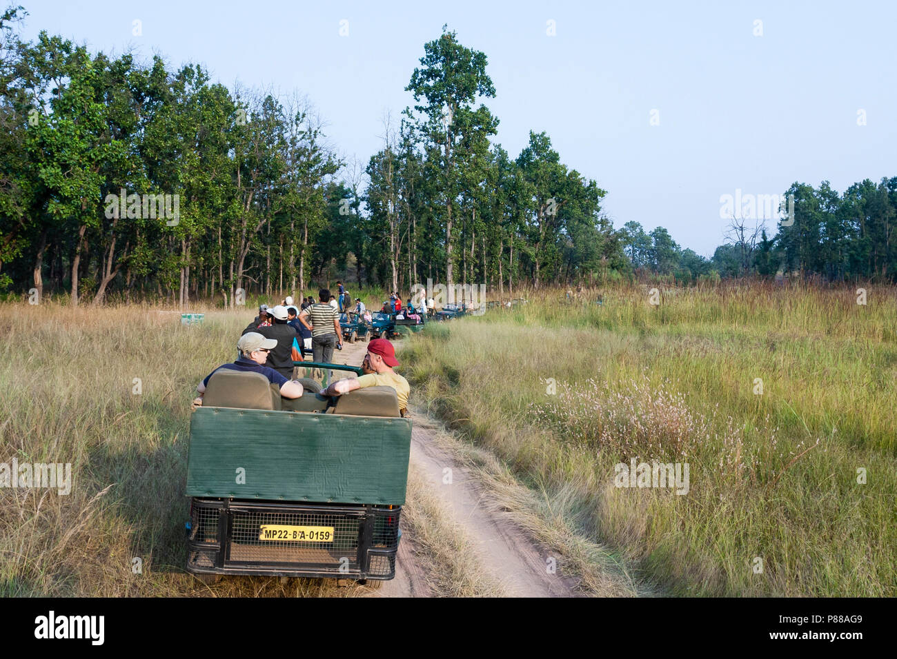 Jeeps with tourists and their guides waiting for Tigers at crowded place in Bandhavgarh, india during a Tiger safari Stock Photo