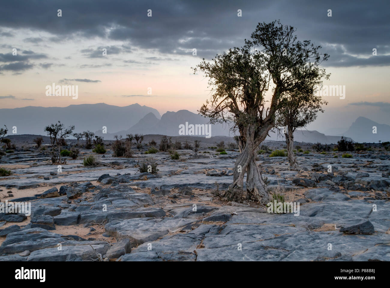 Landscape Jabal Shams, Oman Stock Photo