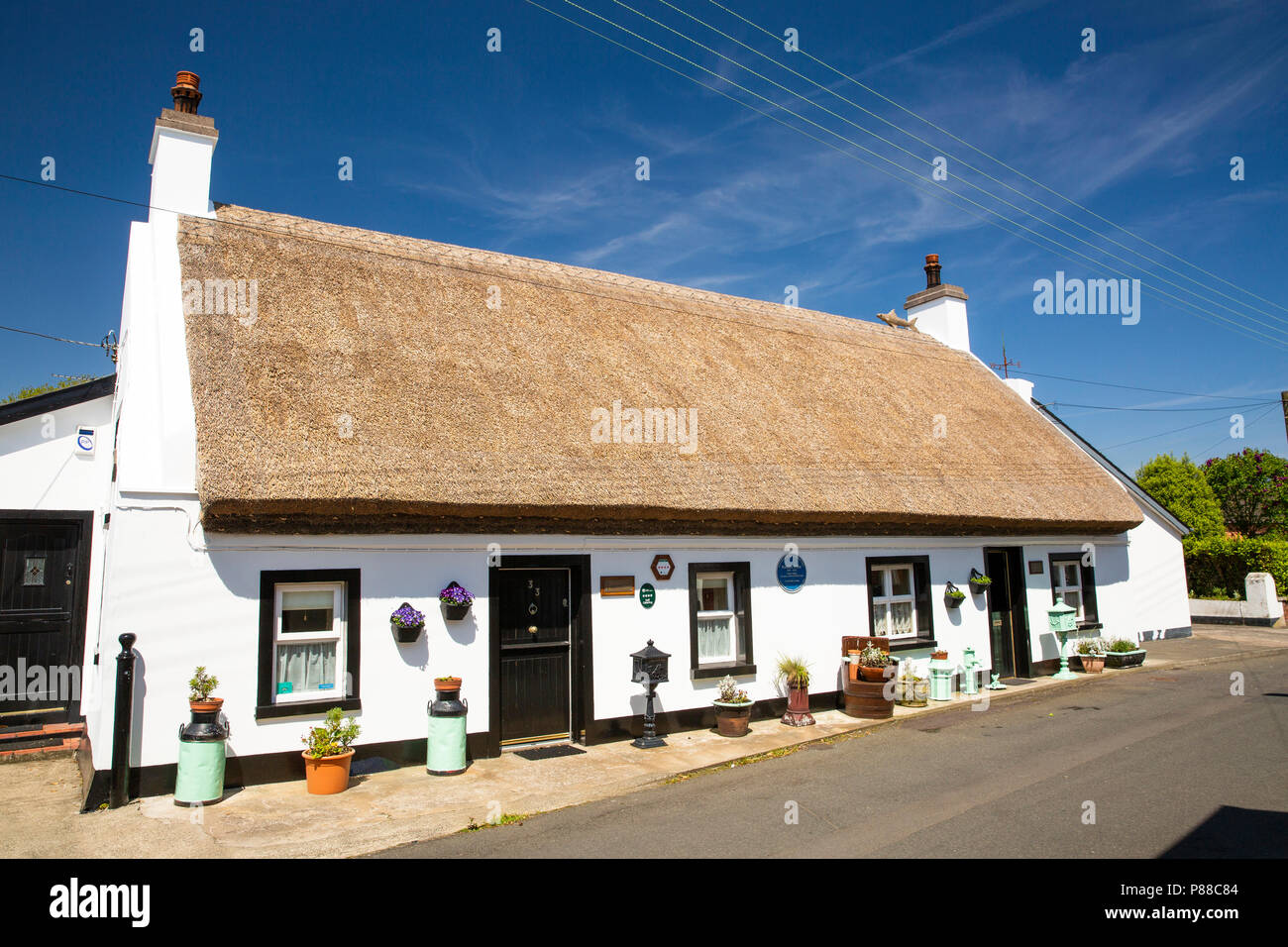 UK, Northern Ireland, Co Antrim, Carrickfergus, Boneybefore, Fools