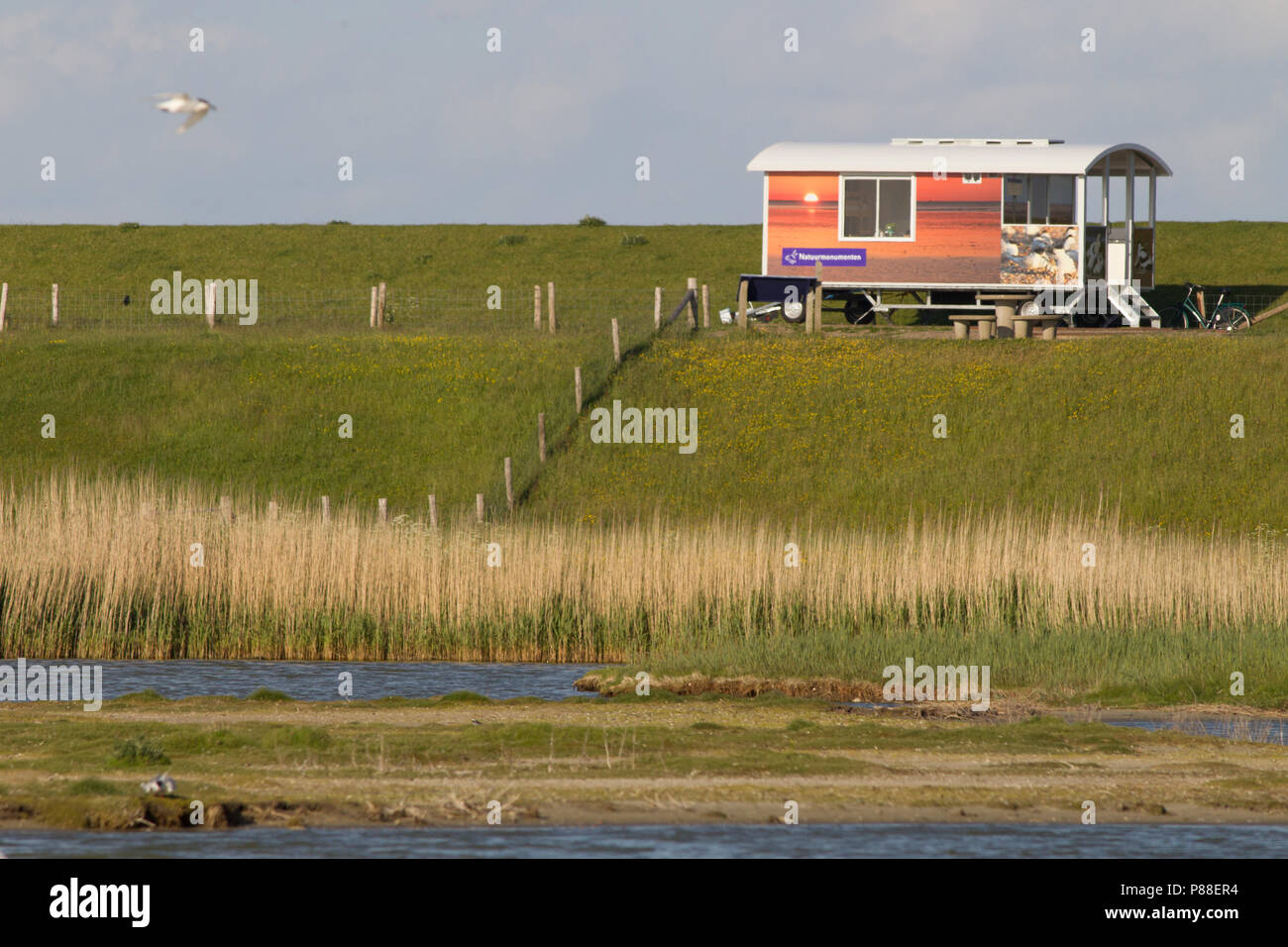 Wadwachters wagen bij Utopia, Texel, Netherlands Stock Photo