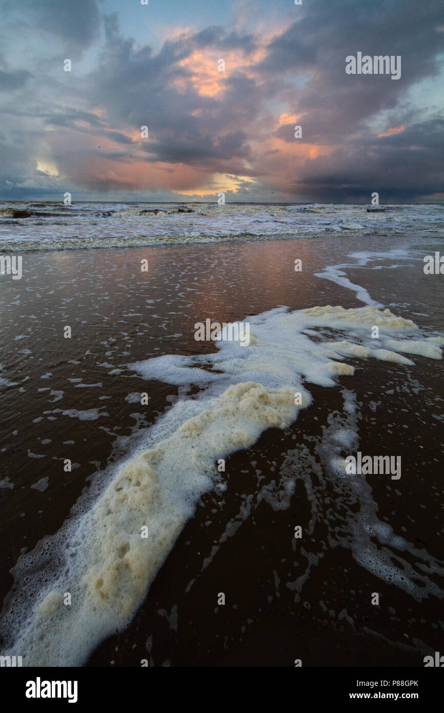 Sterke wind hires stock photography and images Alamy