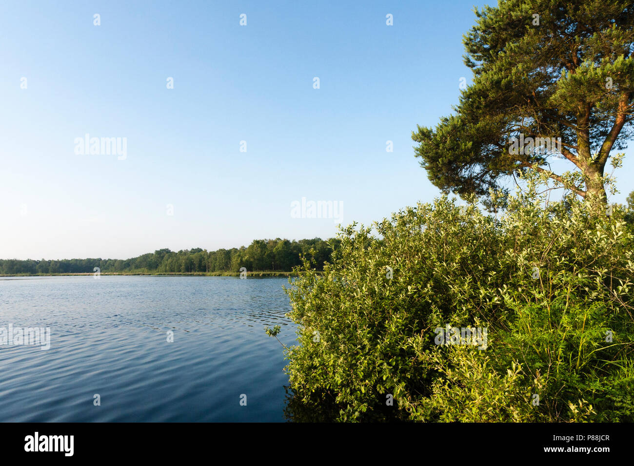 Lake at Mariapeel in spring with tree and conifer in foreground Stock Photo