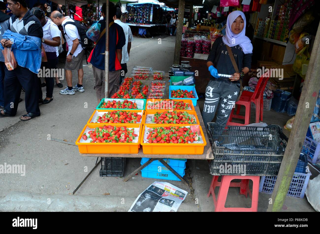 Malay woman stall owner sells fresh strawberries at street market bazaar Cameron Highlands Malaysia Stock Photo
