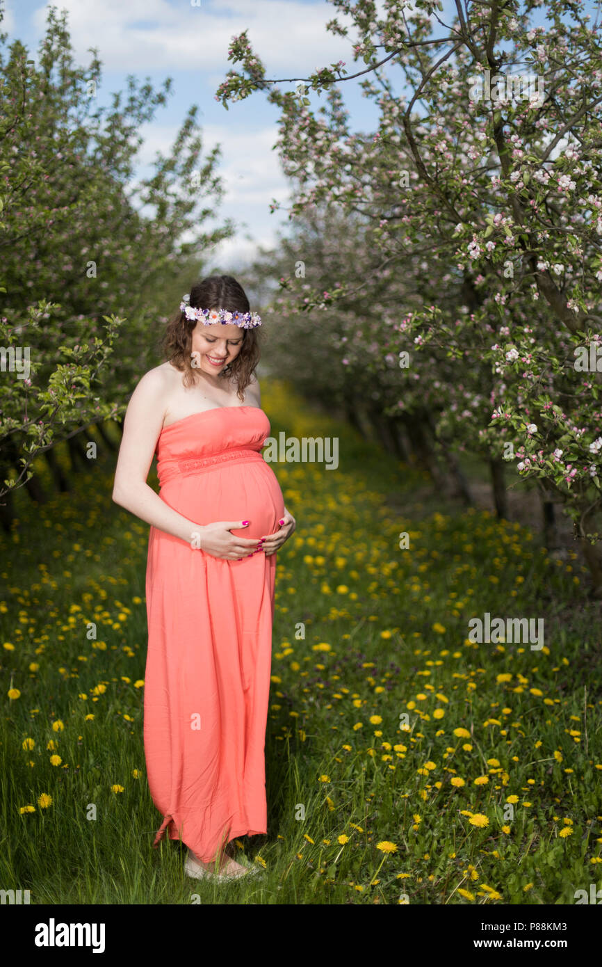 Blooming Garden, Beautiful pregnant woman Stock Photo Alamy