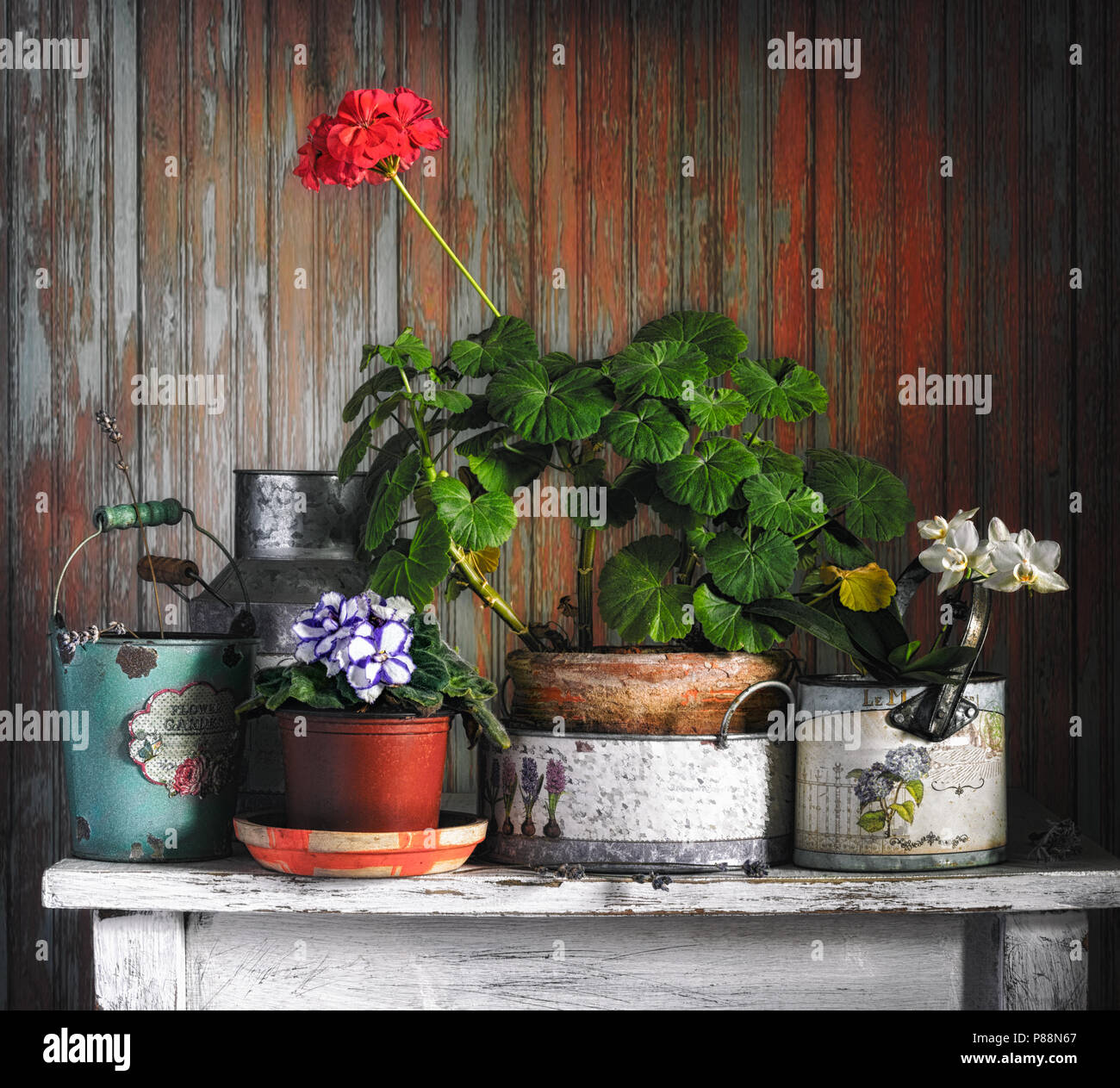 still life with plants. vintage. flowers. Stock Photo