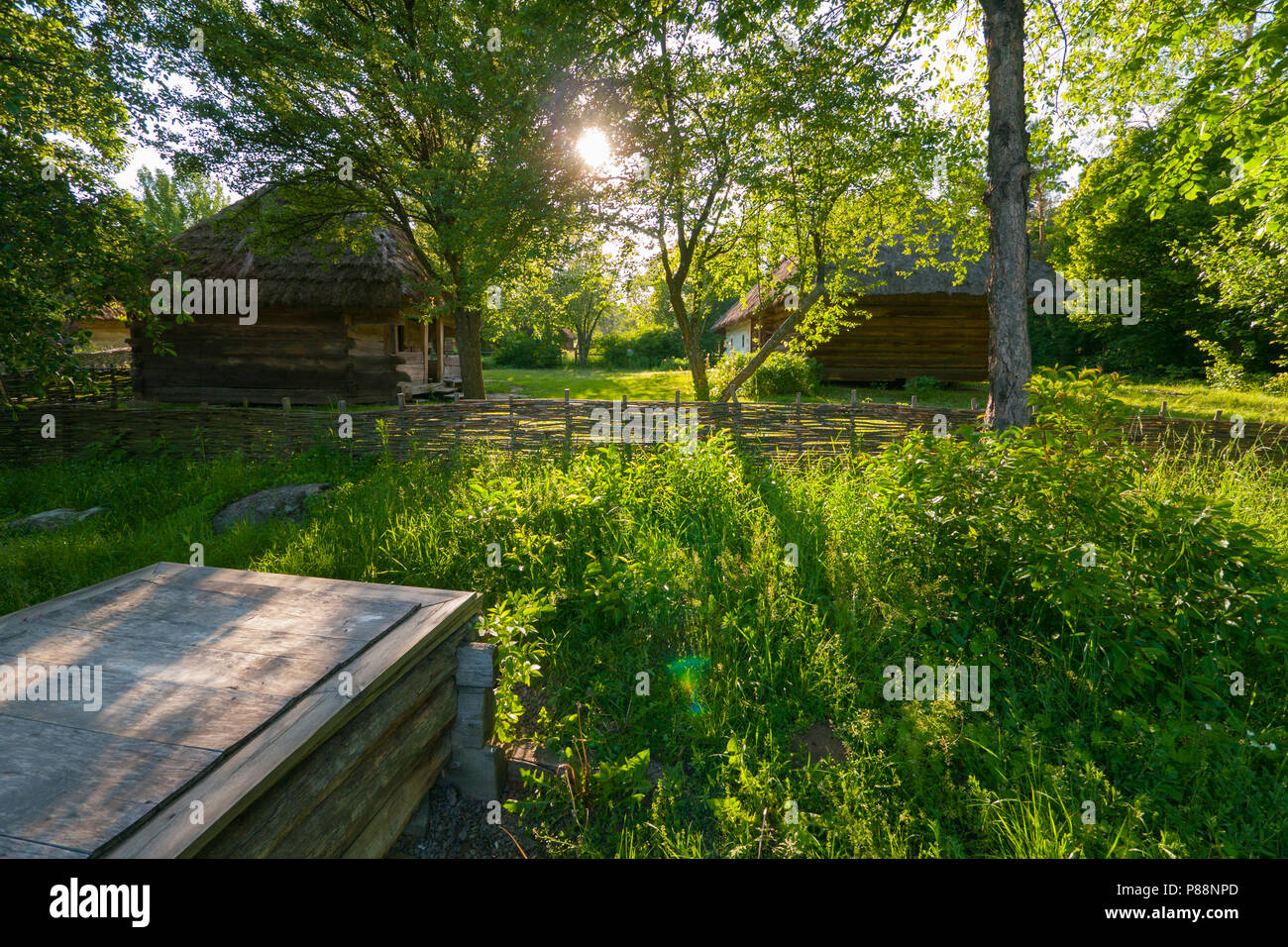Old wooden houses in the village embedded green trees and grass . For ...