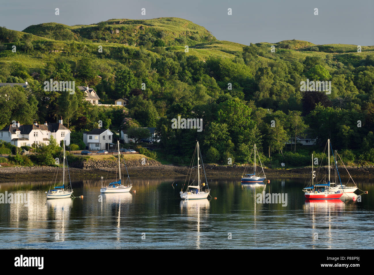 Evening sunlight on sailboats in the harbour of Ardmucknish Bay of Connel Scotland UK near Oban Stock Photo