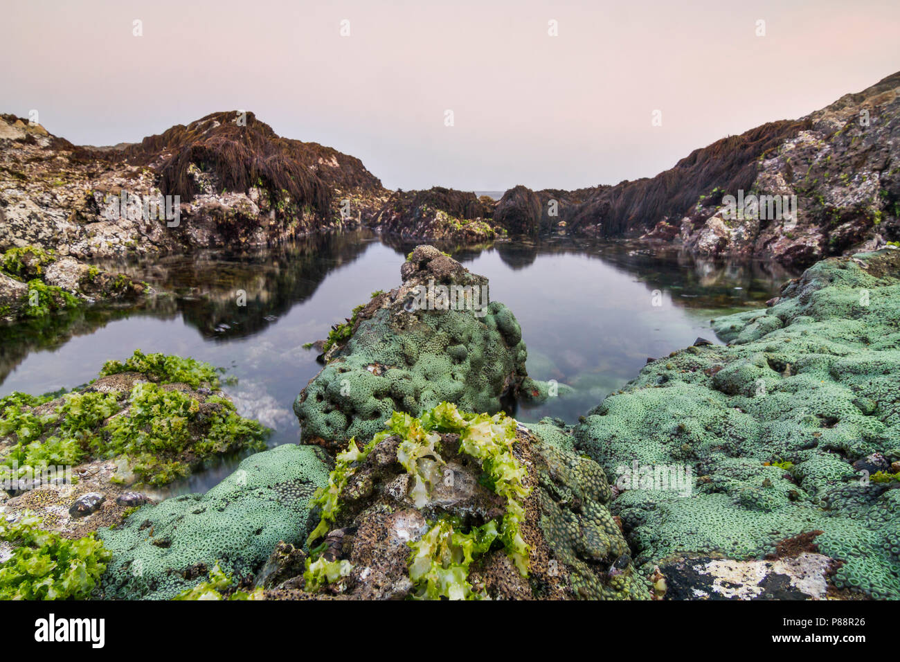 Rocky coast at Mirbat, Oman Stock Photo