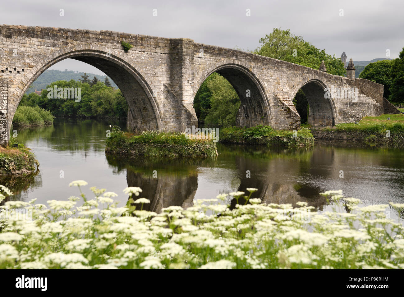 Medieval stone arches of Old Stirling Bridge over the River Forth with Queen Annes Lace on riverbank and Wallace Monument Stirling Scotland UK Stock Photo