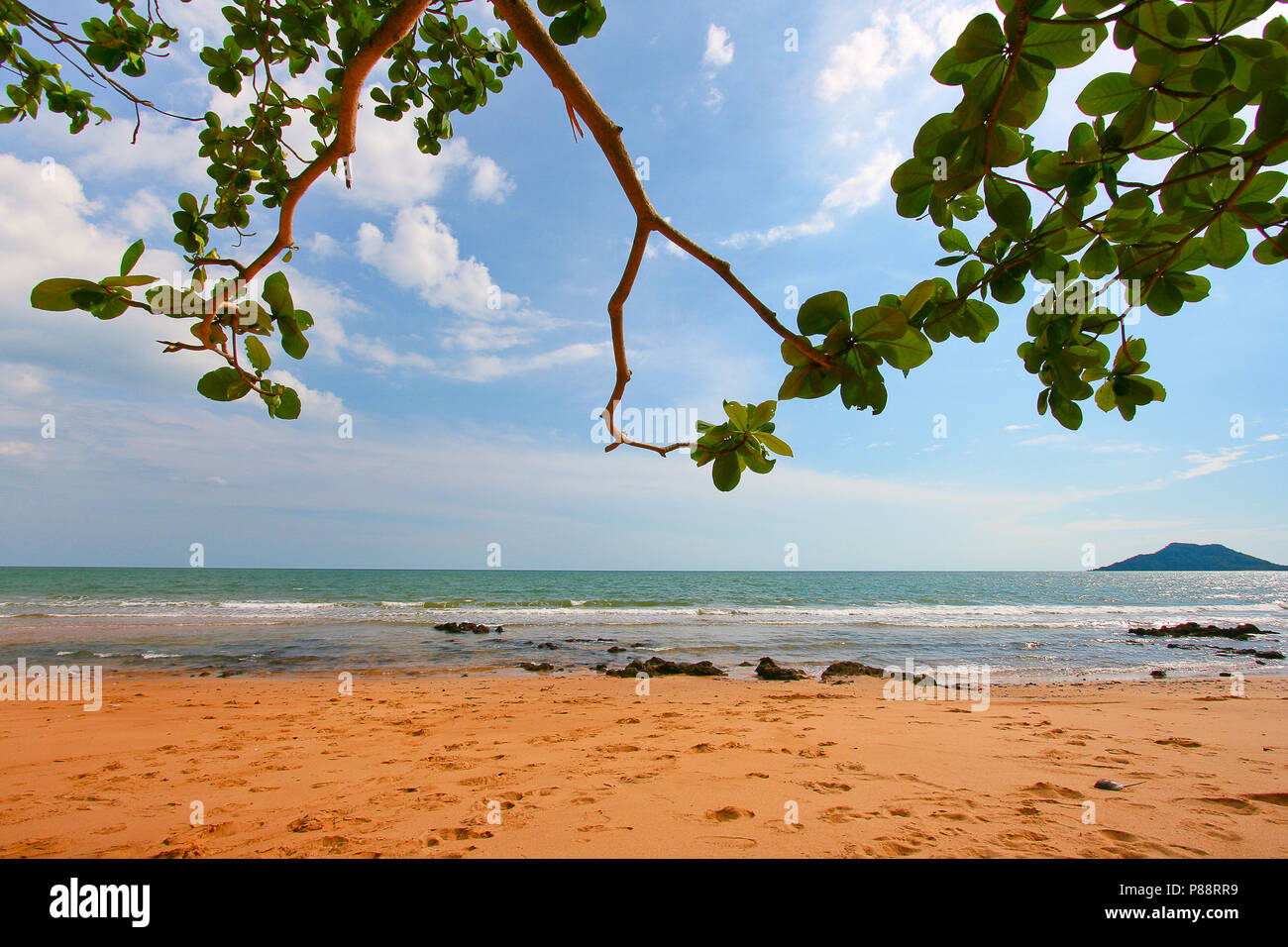 tree leaves over luxury beach Stock Photo - Alamy