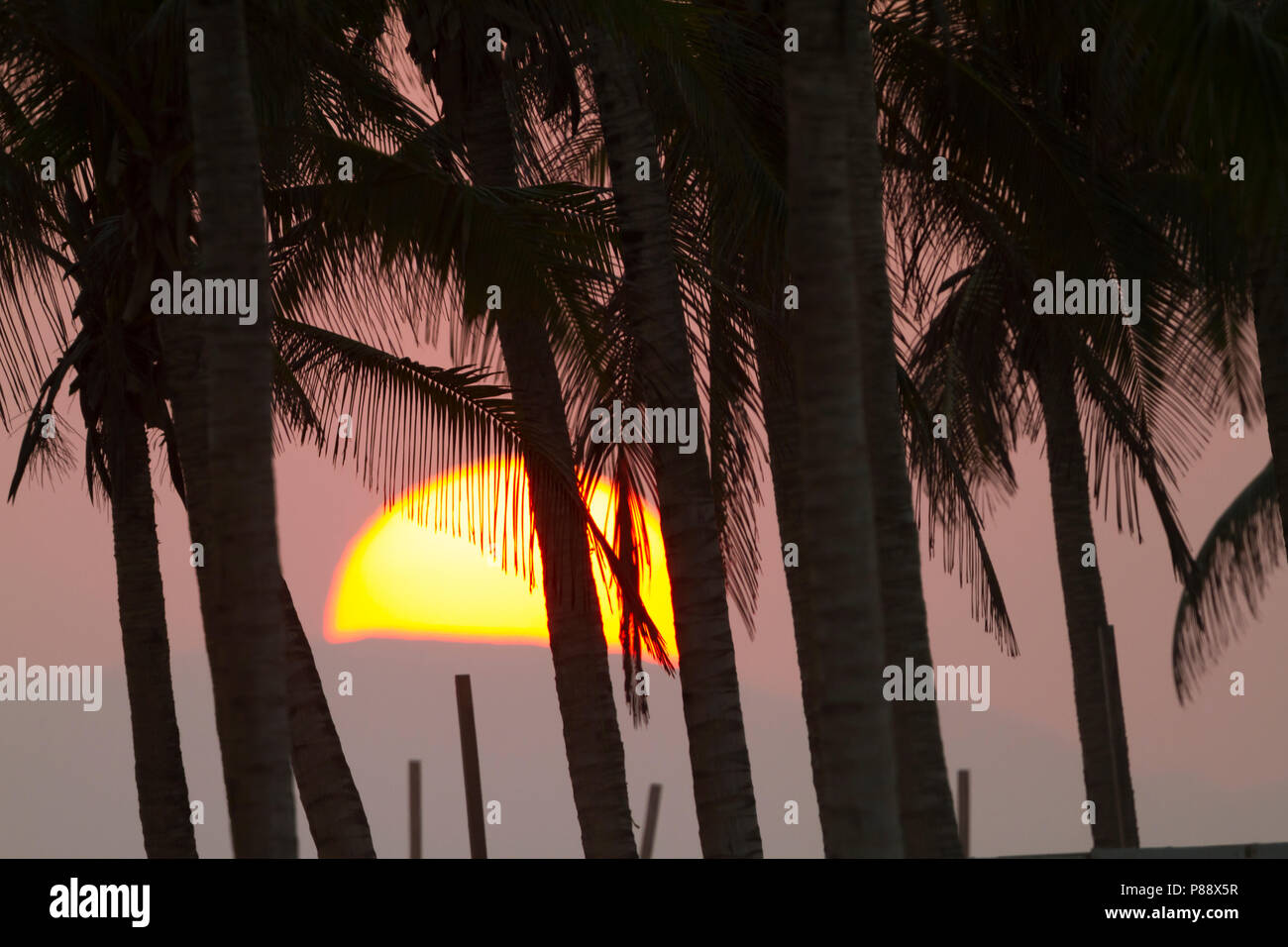 Sunset at Salalah, Oman Stock Photo