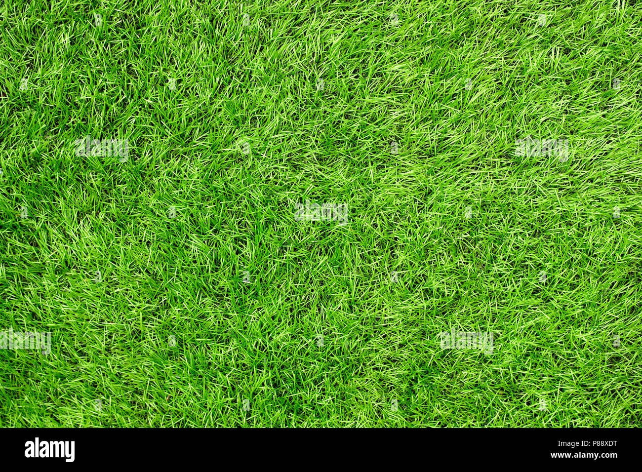 Background texture fake grass in hi-res stock photography and images - Alamy