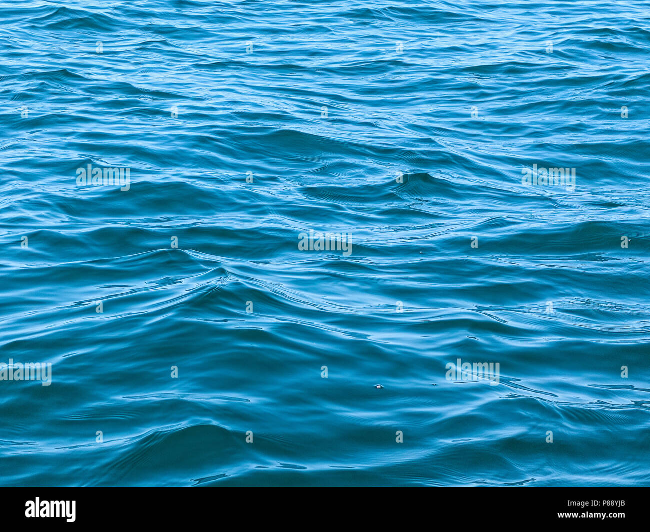 blue Lake Michigan rippled water surface Stock Photo - Alamy