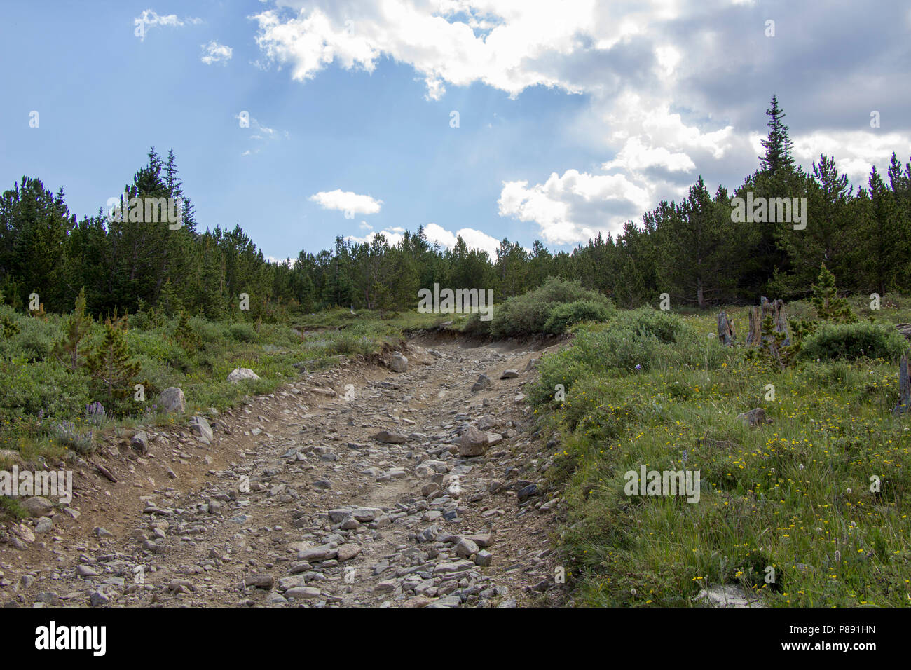 Offroading and Exploring Yankee Hill Stock Photo