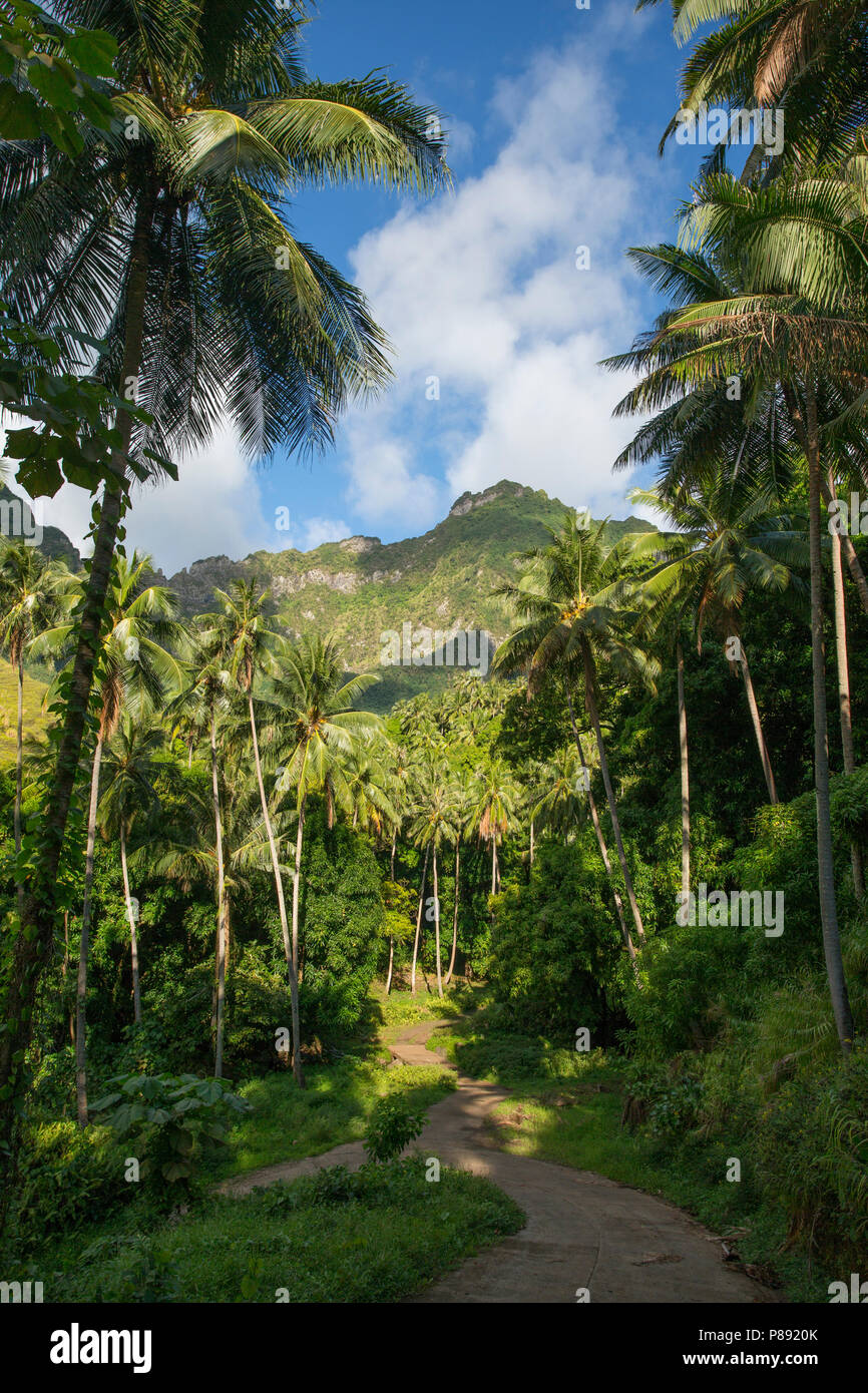Road through the jungle on Fatu Hiva, Marquesas Stock Photo