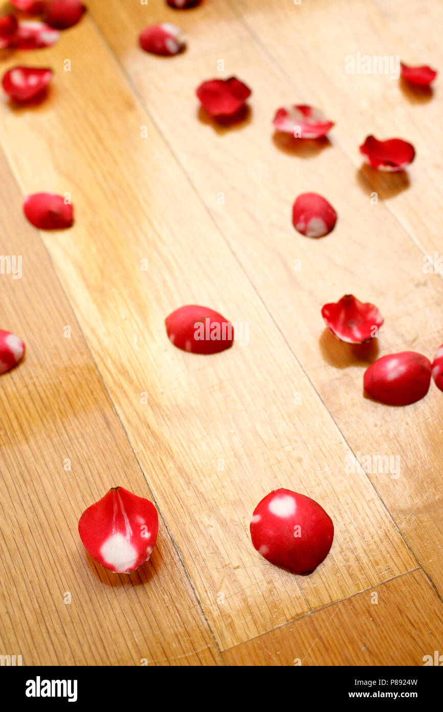 a background image of rose petals on the floor Stock Photo Alamy