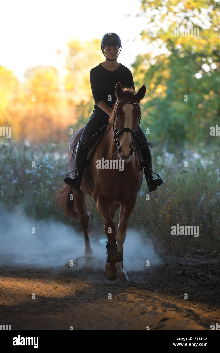 Young pretty girl - riding a horse with backlit leaves behind Stock Photo