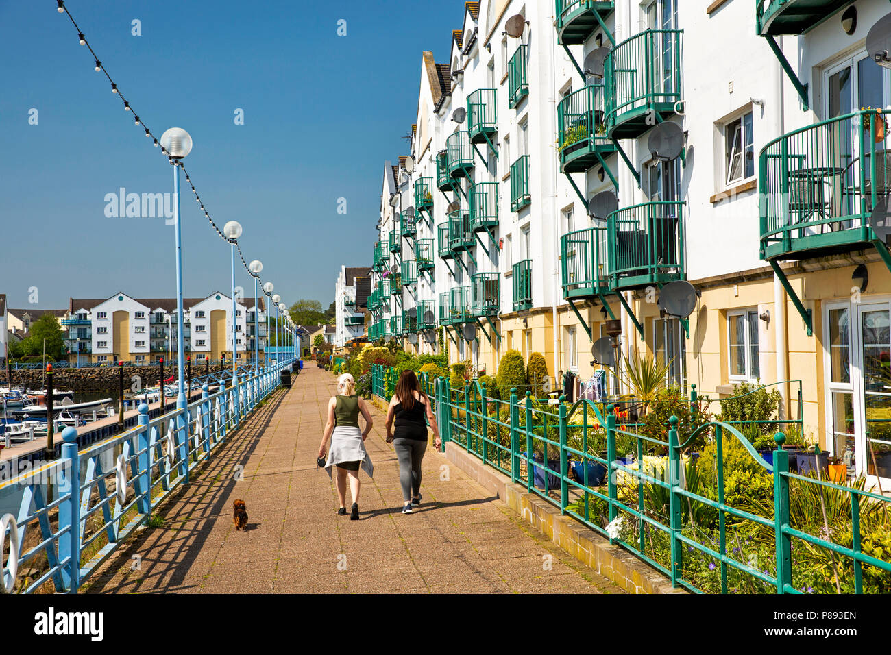 UK, Northern Ireland, Co Antrim, Carrickfergus, Marina, dog walkers on quayside path beside waterfront apartments Stock Photo