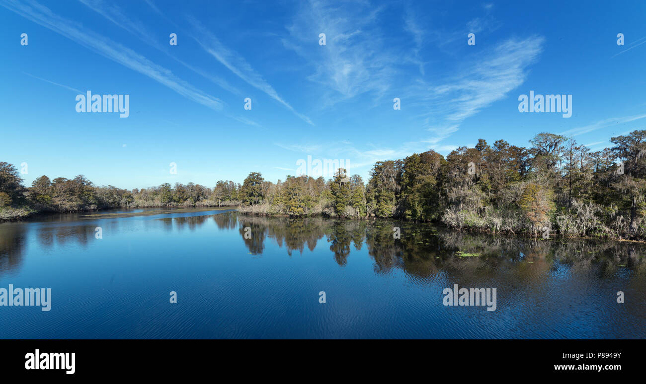 Near Tampa. Lettuce Lake Park. Hillsborough river Stock Photo Alamy