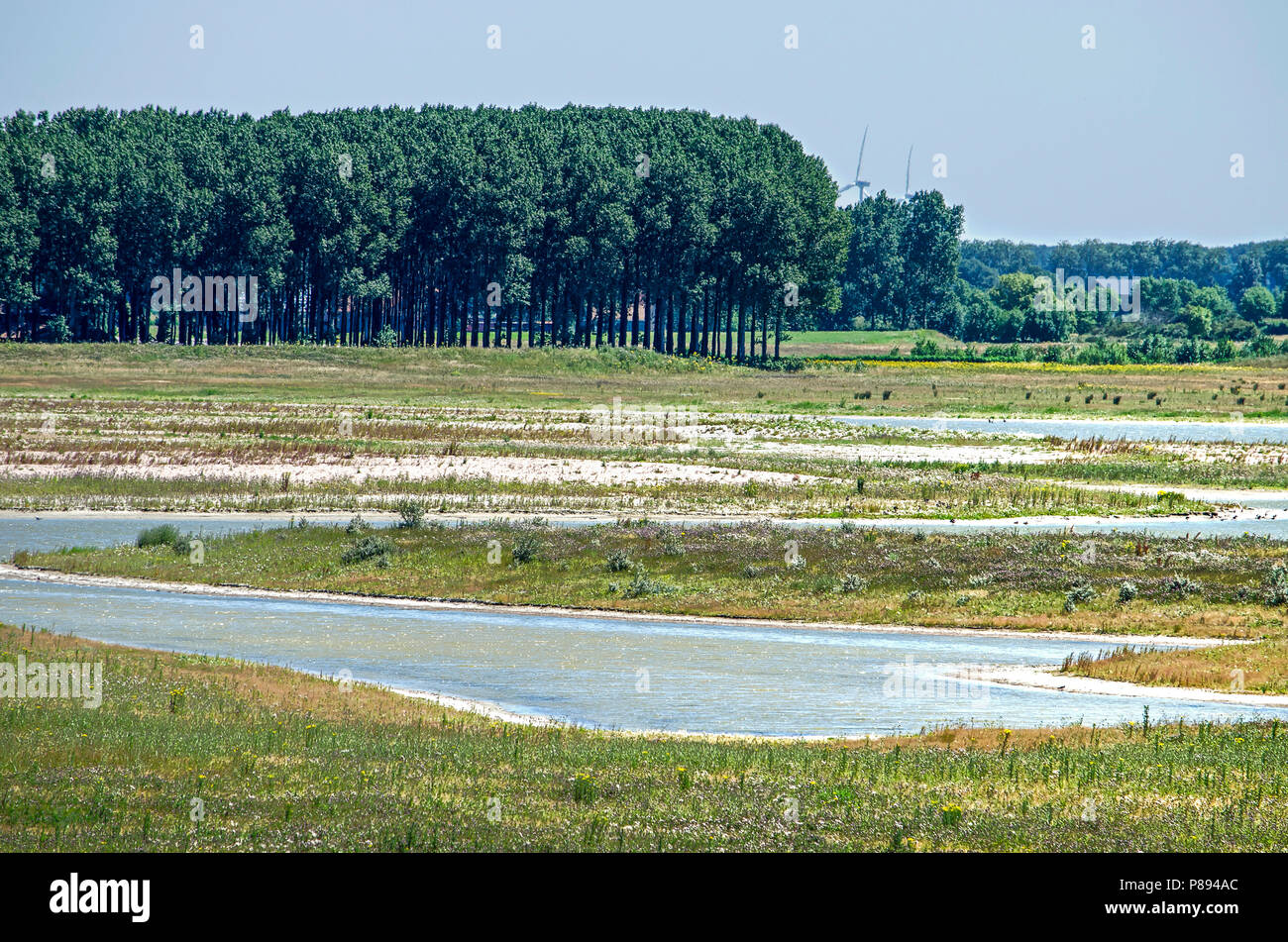 Municipality of Sluis, the Netherlands, July 2, 2018: new tidal nature created at Waterdunen project, with groups of trees and other old landscape ele Stock Photo
