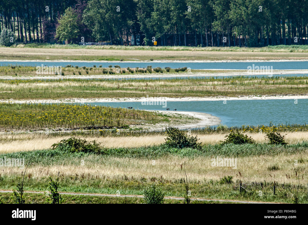 Municipality of Sluis, the Netherlands, July 2, 2018: newly developed tidal nature in combination with recreation and coastal defense at Waterdunen pr Stock Photo